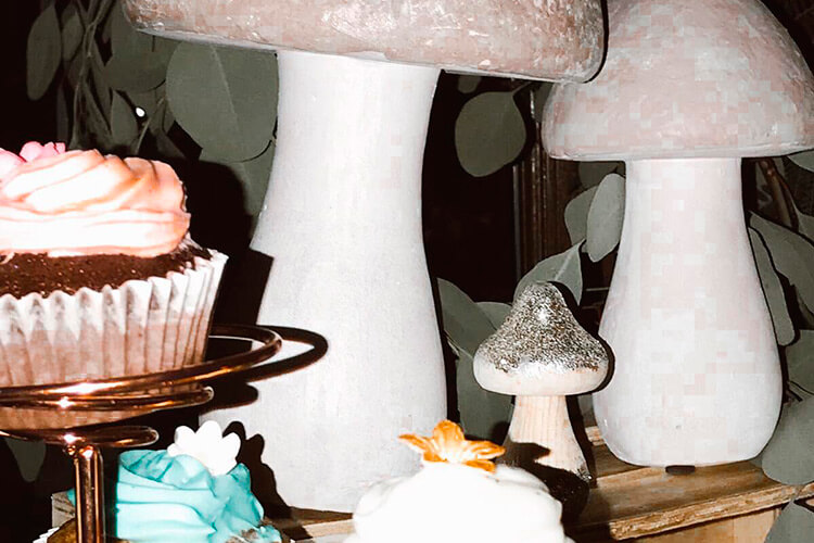 Organización de eventos cumpleaños Lucía cupcakes